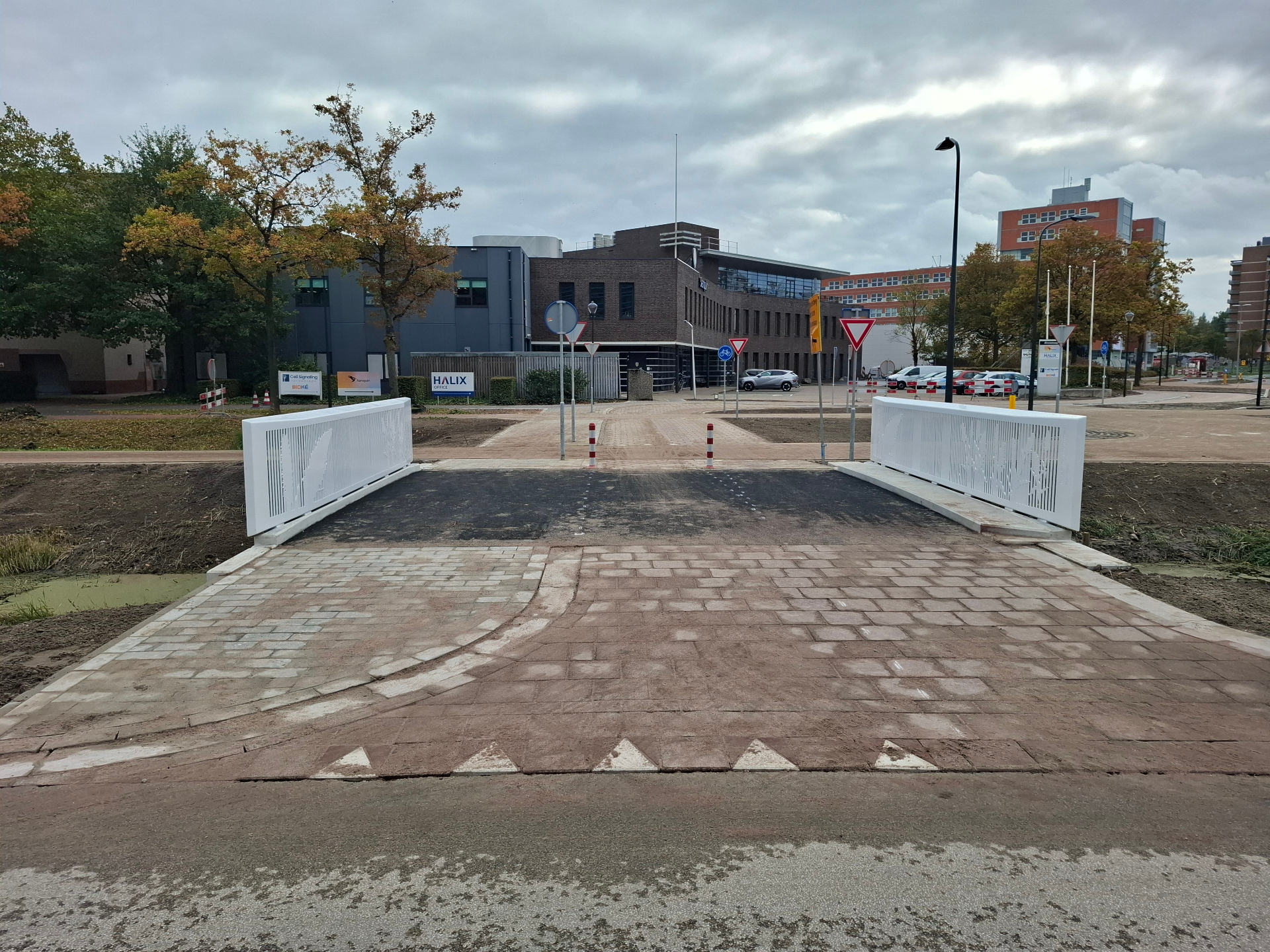 Rietorchisbrug Leiden